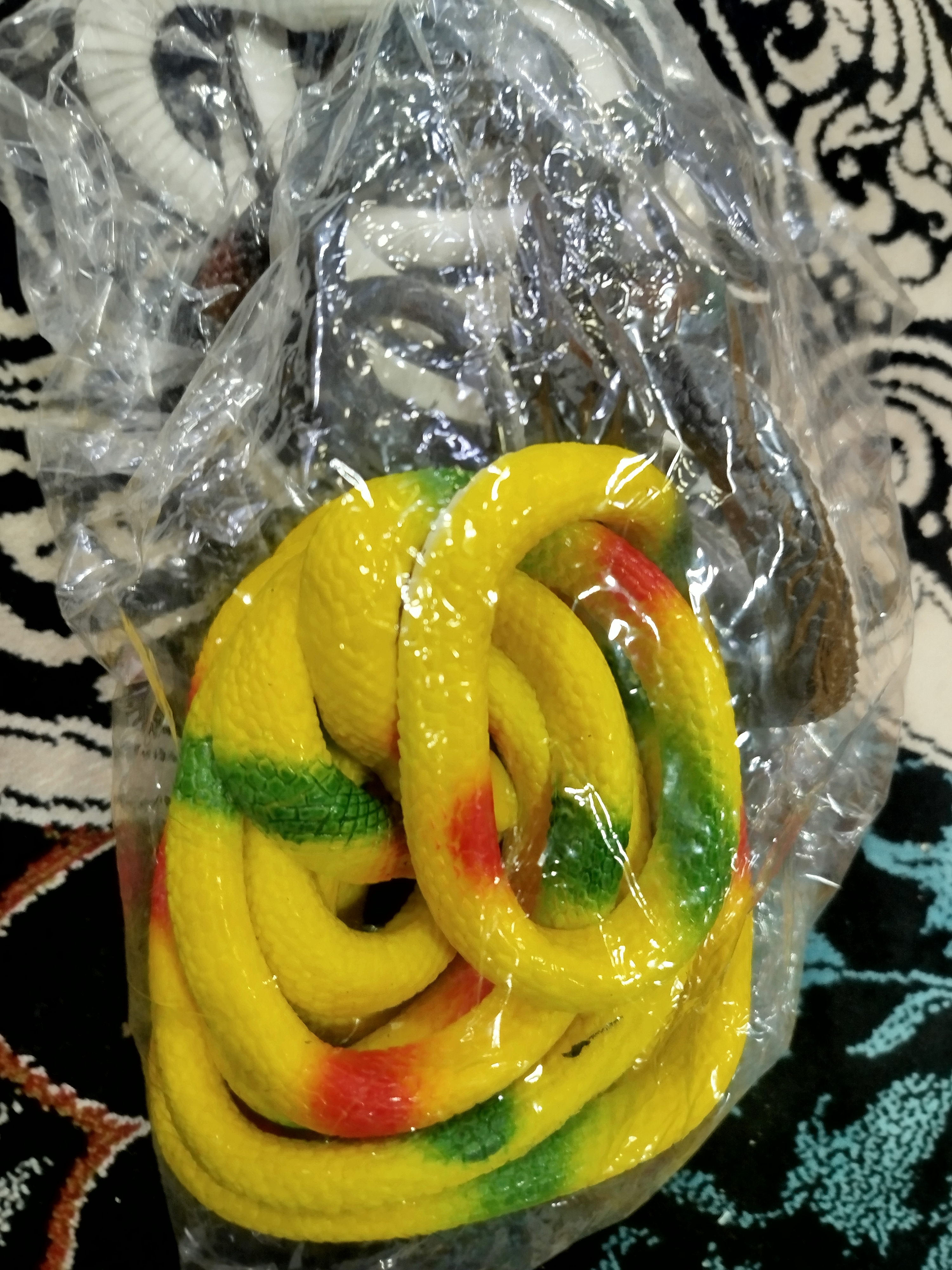 مار  ژله ای بزرگ