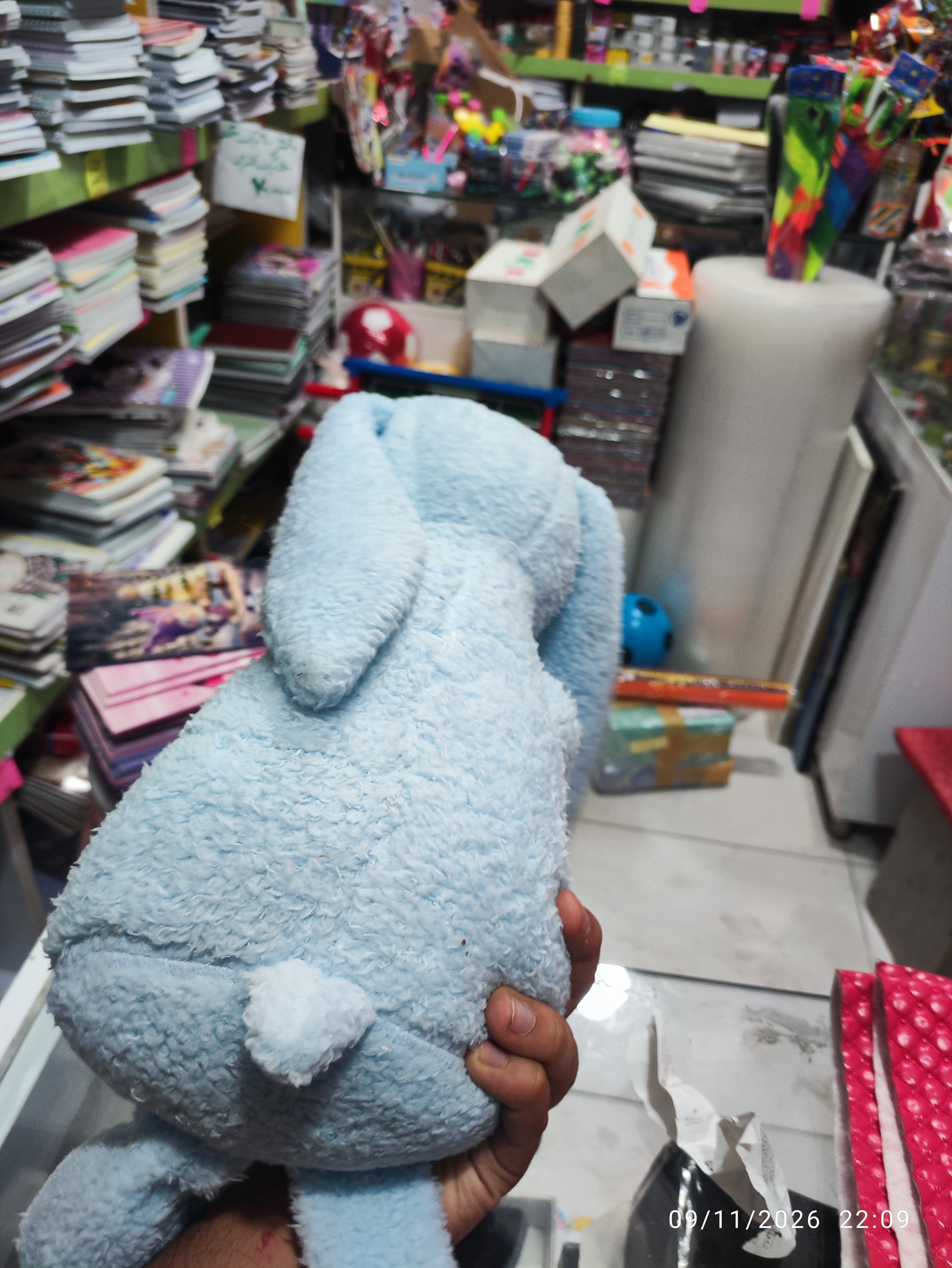 جلی کت بزرگ